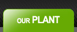 OUR PLANT