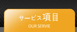 サービス項目
